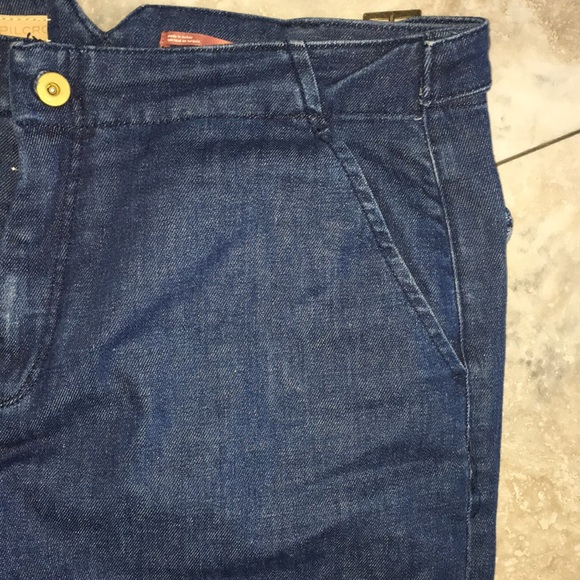 ANTHROPOLOGIE PILCRO HI WAIST SIDE BUCKLE STRAIGHT FLARE JEANS SIZE 32 EUC - Picture 3 of 11